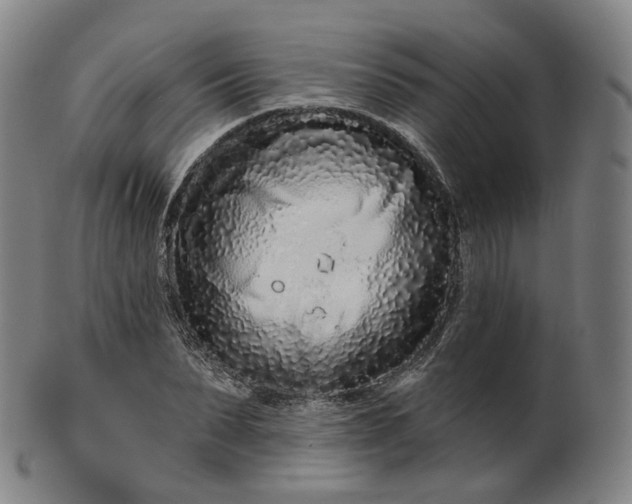 X0000099960879200806061603