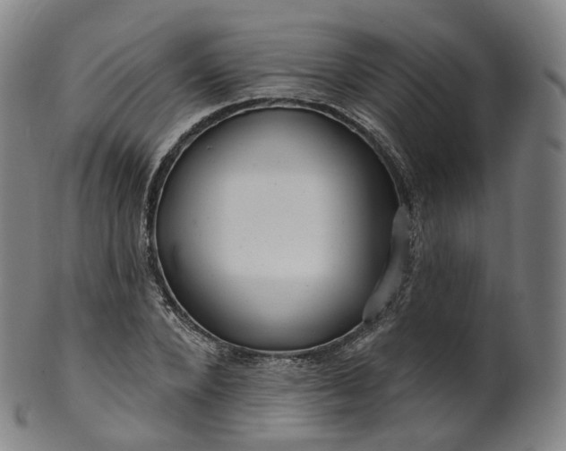X0000099960880200806061603