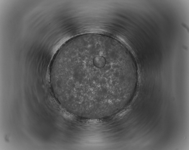 X0000099960883200806061603