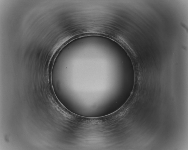 X0000099960884200806061603