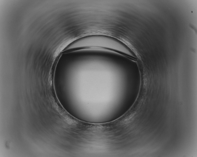 X0000099960885200806061603