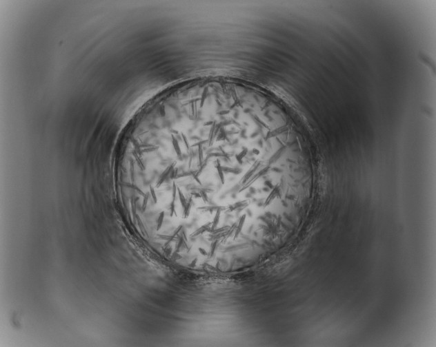 X0000099960886200806061603
