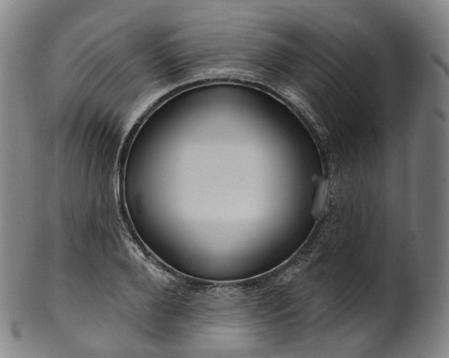 X0000099960888200806061603