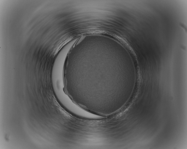 X0000099960889200806061603