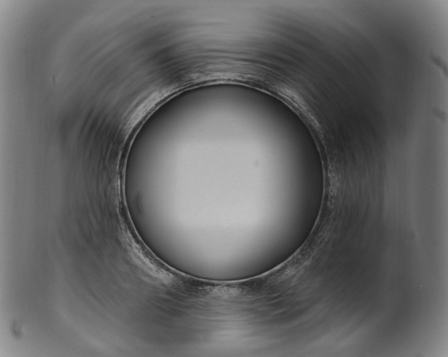 X0000099960890200806061603