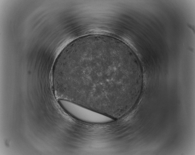 X0000099960891200806061603