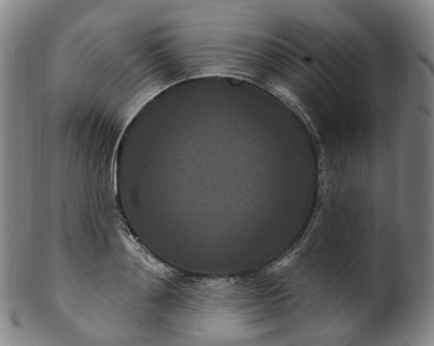 X0000099960892200806061603