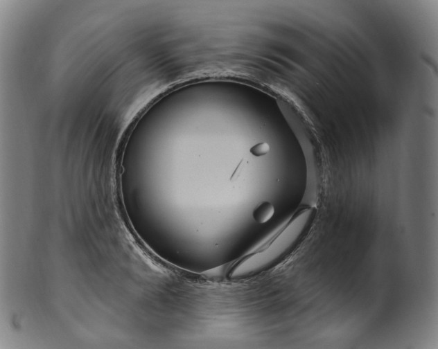 X0000099960894200806061603