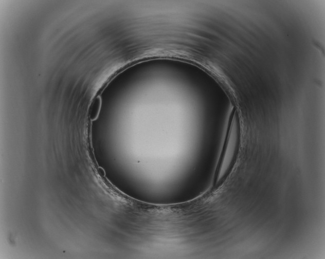 X0000099960896200806061603