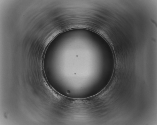 X0000099960898200806061603