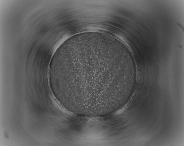 X0000099960899200806061603