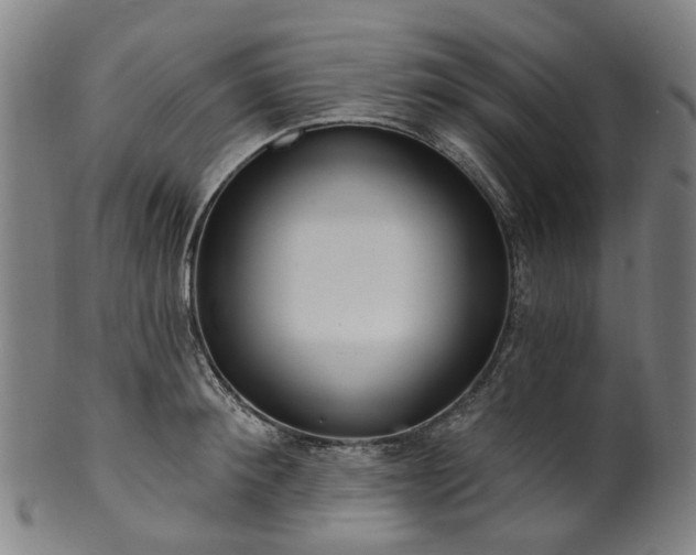 X0000099960900200806061603