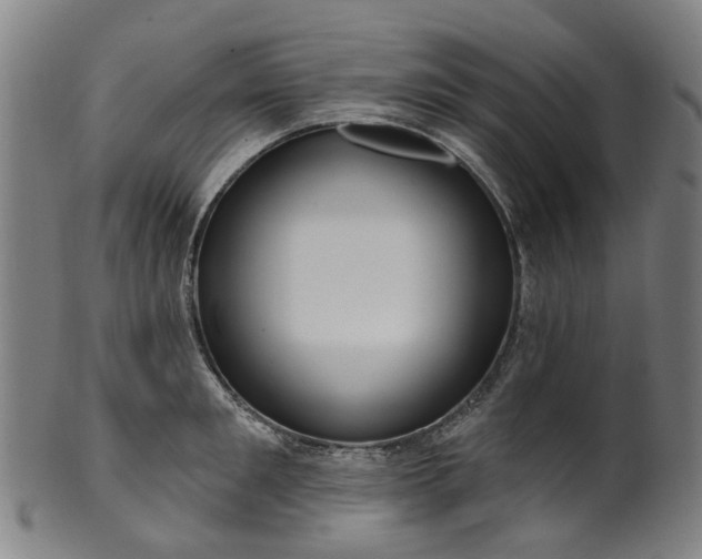 X0000099960901200806061603