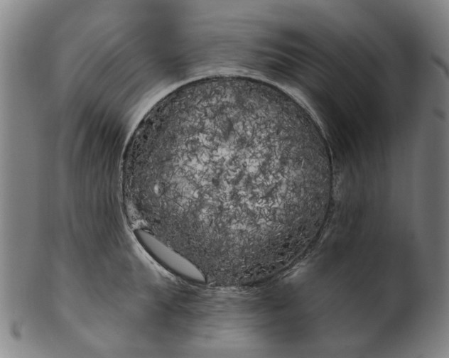 X0000099960903200806061603