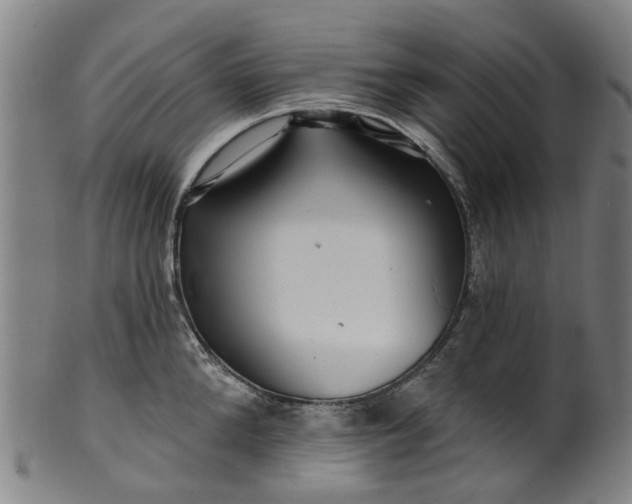 X0000099960904200806061603