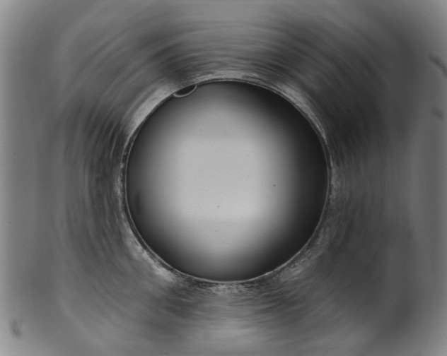 X0000099960906200806061603