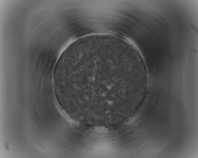 X0000099960907200806061603