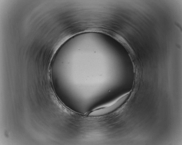 X0000099960908200806061603
