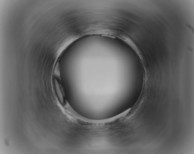 X0000099960909200806061603