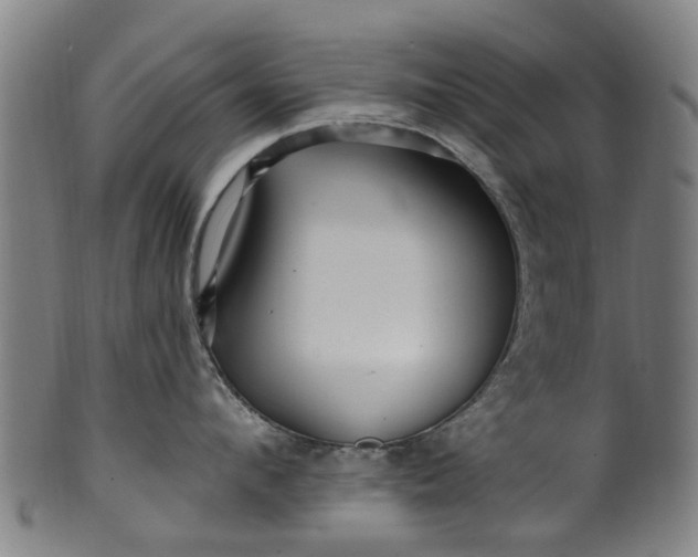 X0000099960912200806061603