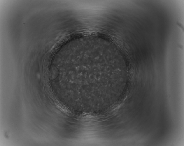 X0000099960913200806061602