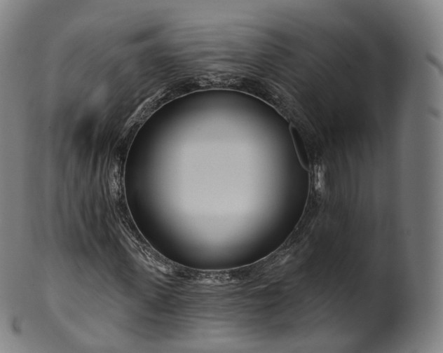 X0000099960915200806061602
