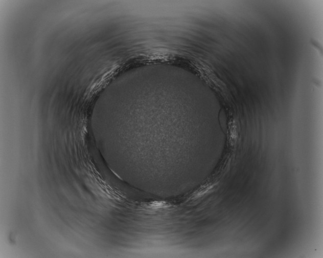X0000099960916200806061602