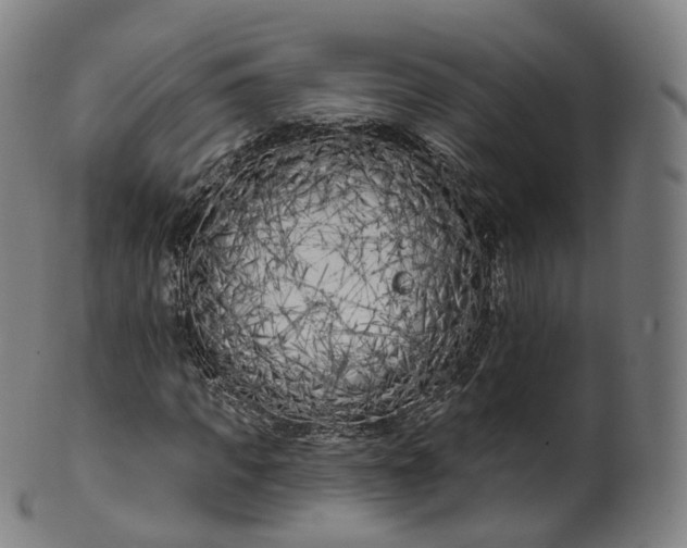 X0000099960917200806061602