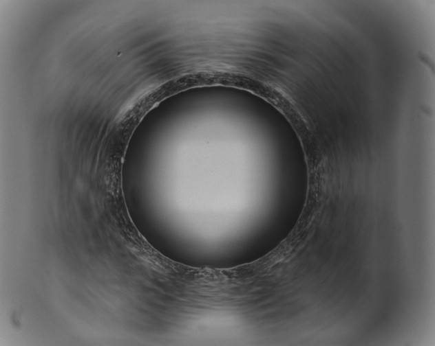 X0000099960919200806061602