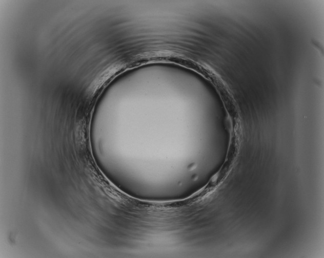 X0000099960921200806061602