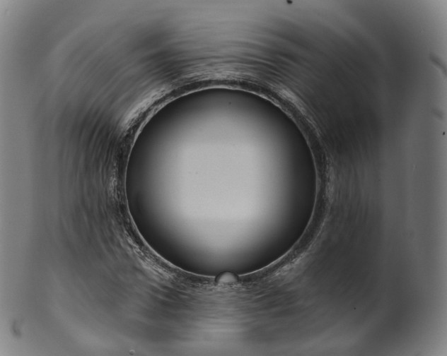 X0000099960922200806061602