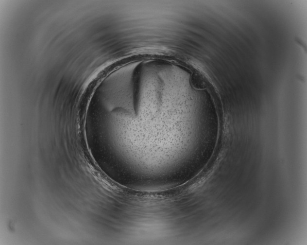 X0000099960923200806061602