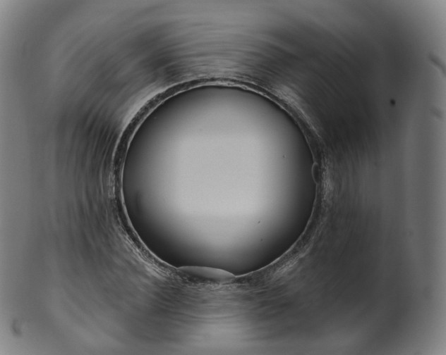 X0000099960924200806061602