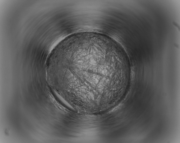 X0000099960925200806061602
