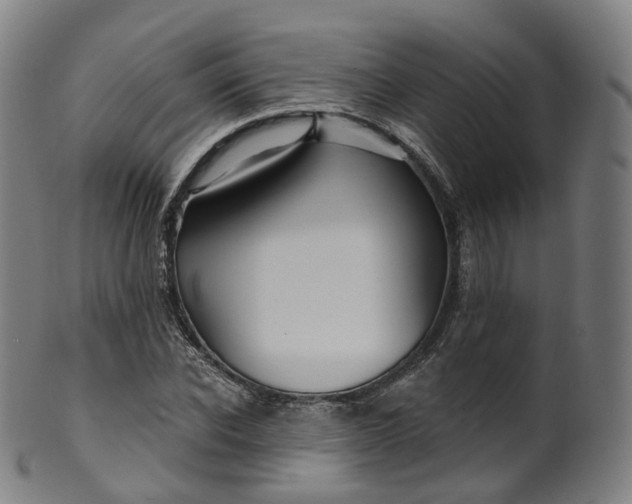 X0000099960926200806061602