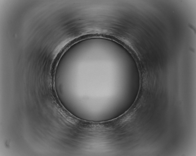 X0000099960927200806061602