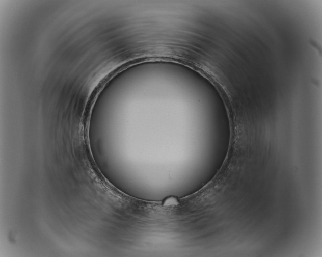 X0000099960928200806061602