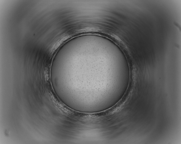 X0000099960929200806061602