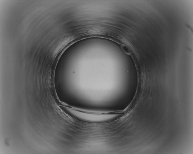 X0000099960930200806061602