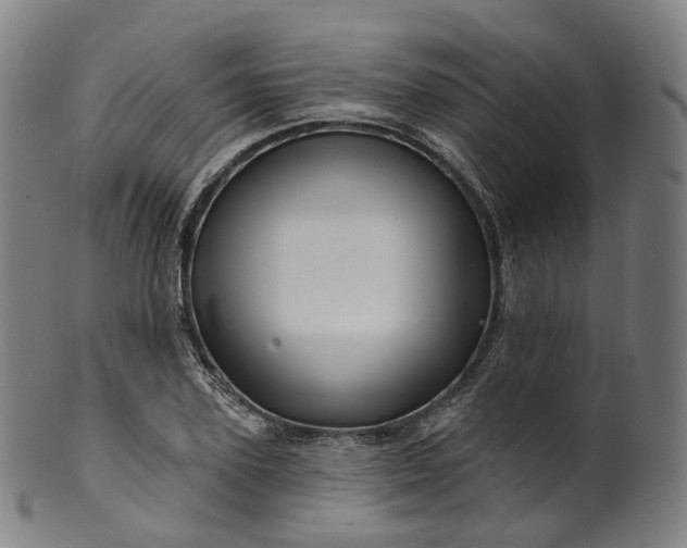 X0000099960931200806061602