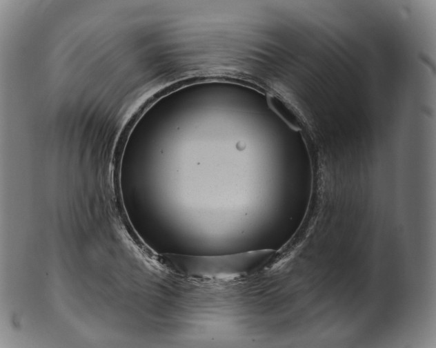 X0000099960932200806061602
