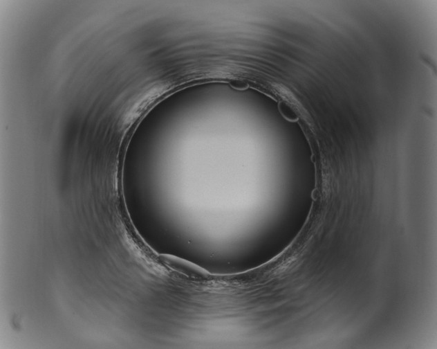 X0000099960938200806061602