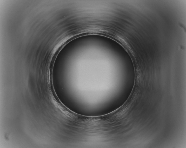X0000099960939200806061602