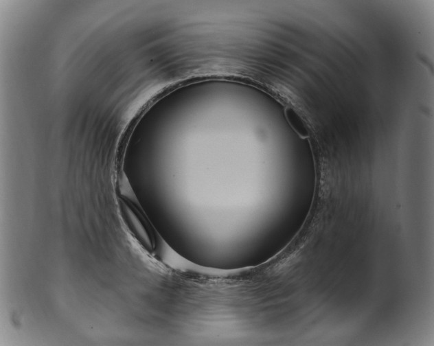 X0000099960942200806061602
