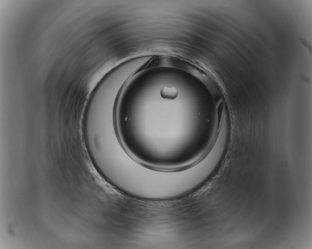 X0000099960944200806061602