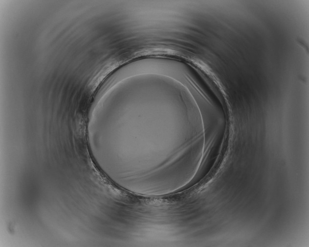 X0000099960945200806061602