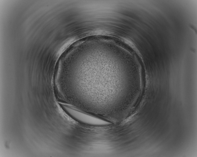 X0000099960946200806061602