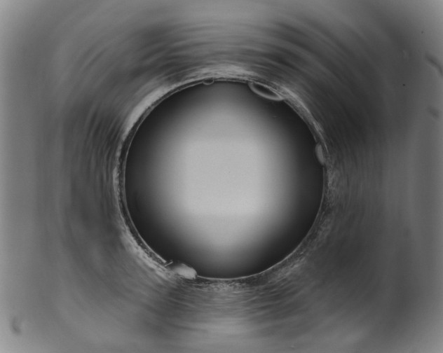 X0000099960947200806061602