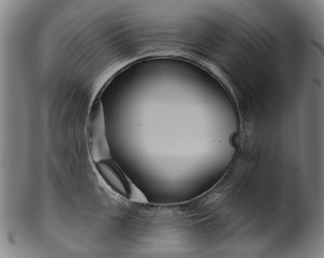 X0000099960951200806061603