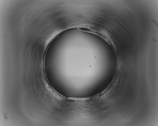 X0000099960952200806061603